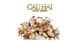 Set Lá Chanh Golden Leaf-CẬU HAI HOME DECOR