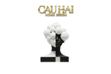 Tượng Quý Cô Dualité Sphère Miroir