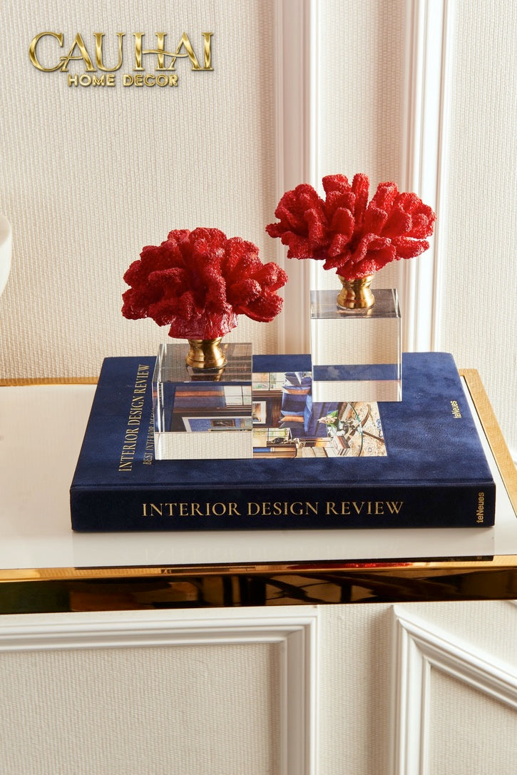 Maison Couture - Fashion Runway Collection Special Best Interior Design On The Planet