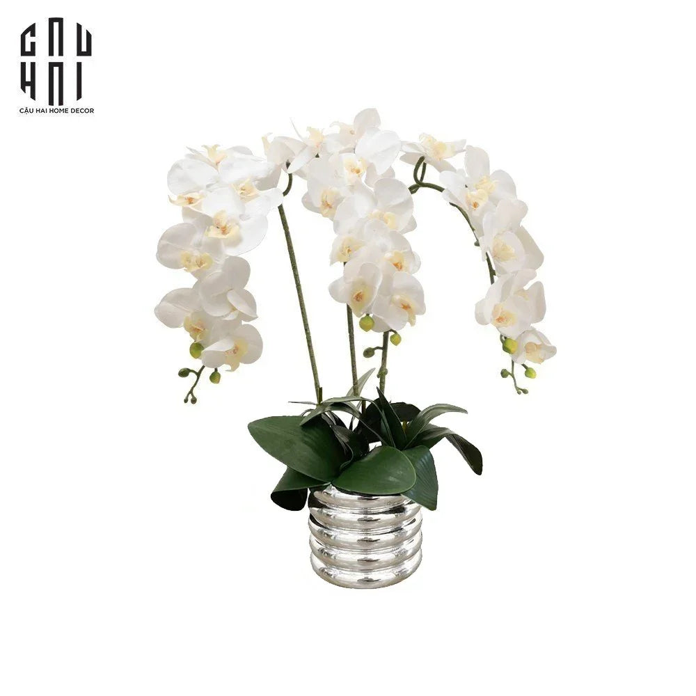 Bình Hoa Lan Trắng - White Orchid 40x65-BÌNH HOA-CẬU HAI HOME DECOR