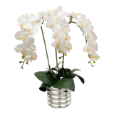 Bình Hoa Lan Trắng - White Orchid 40x65-BÌNH HOA-Đối tác tại Trung Quốc theo từng đơn đặt hàng-CẬU HAI HOME DECOR