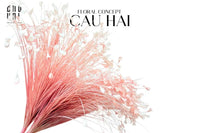 Bó Cỏ Khổng Tước - Pink-HOA LỤA-CẬU HAI HOME DECOR