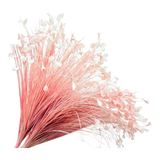 Bó Cỏ Khổng Tước  - Pink
