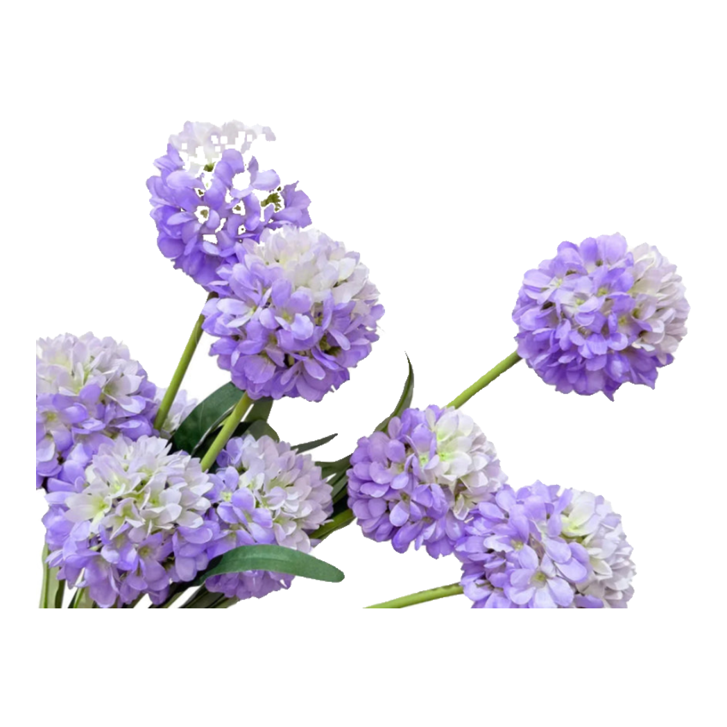 Cành 2 Hoa Hành Allium - Violet