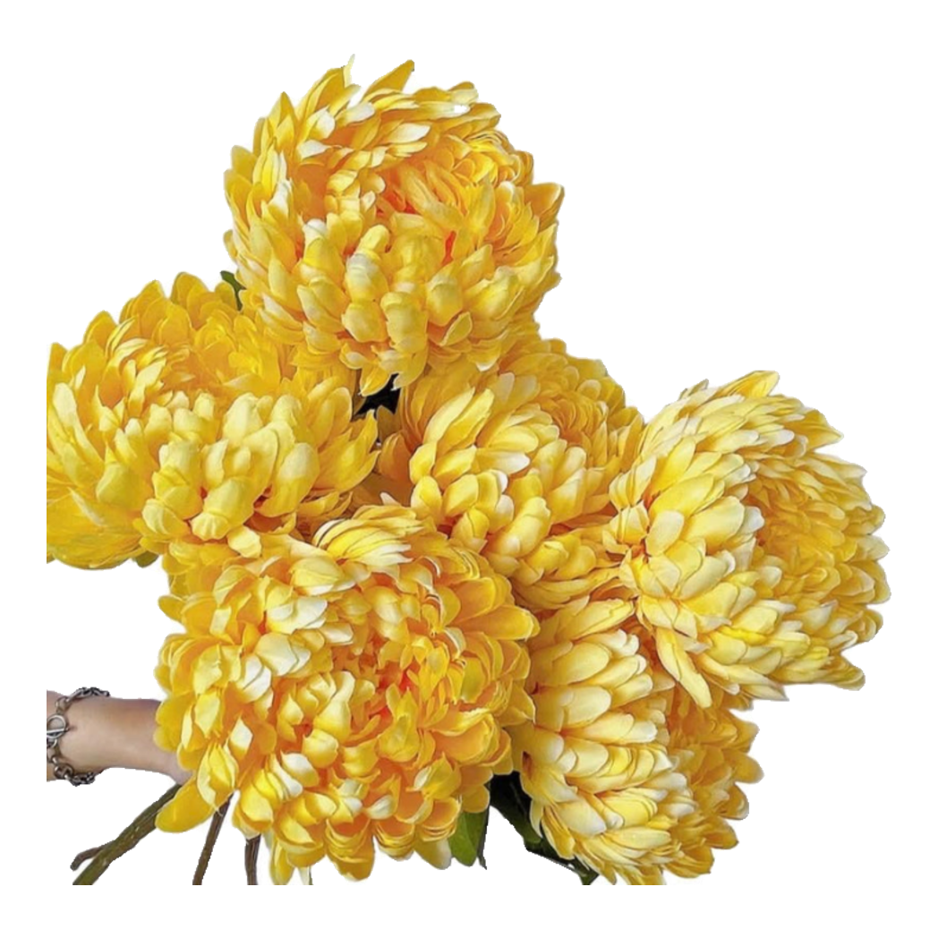 Cành Cúc Mẫu Đơn Vàng