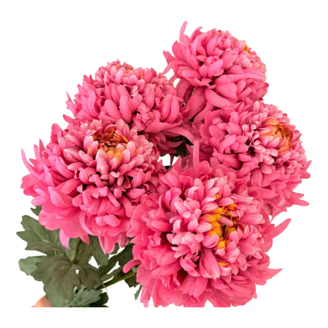 Cành Cúc Thiên Hương Mẫu Đơn - Special Version