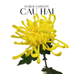 Cành Hoa Cúc Đại Đoá Vienna - Red / Yellow / Pink-Hoa Lụa-CẬU HAI HOME DECOR