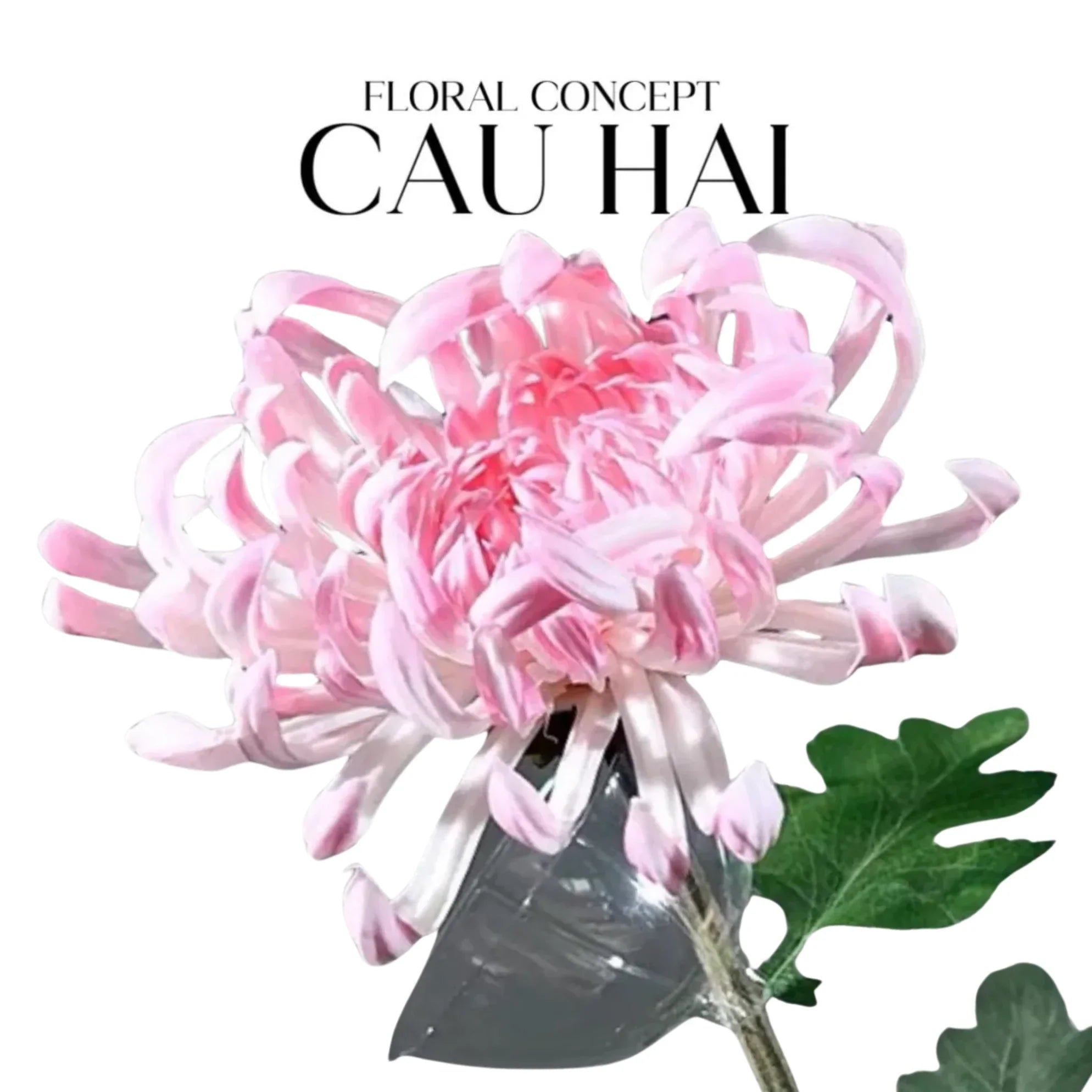 Cành Hoa Cúc Đại Đoá Vienna - Red / Yellow / Pink-Hoa Lụa-CẬU HAI HOME DECOR