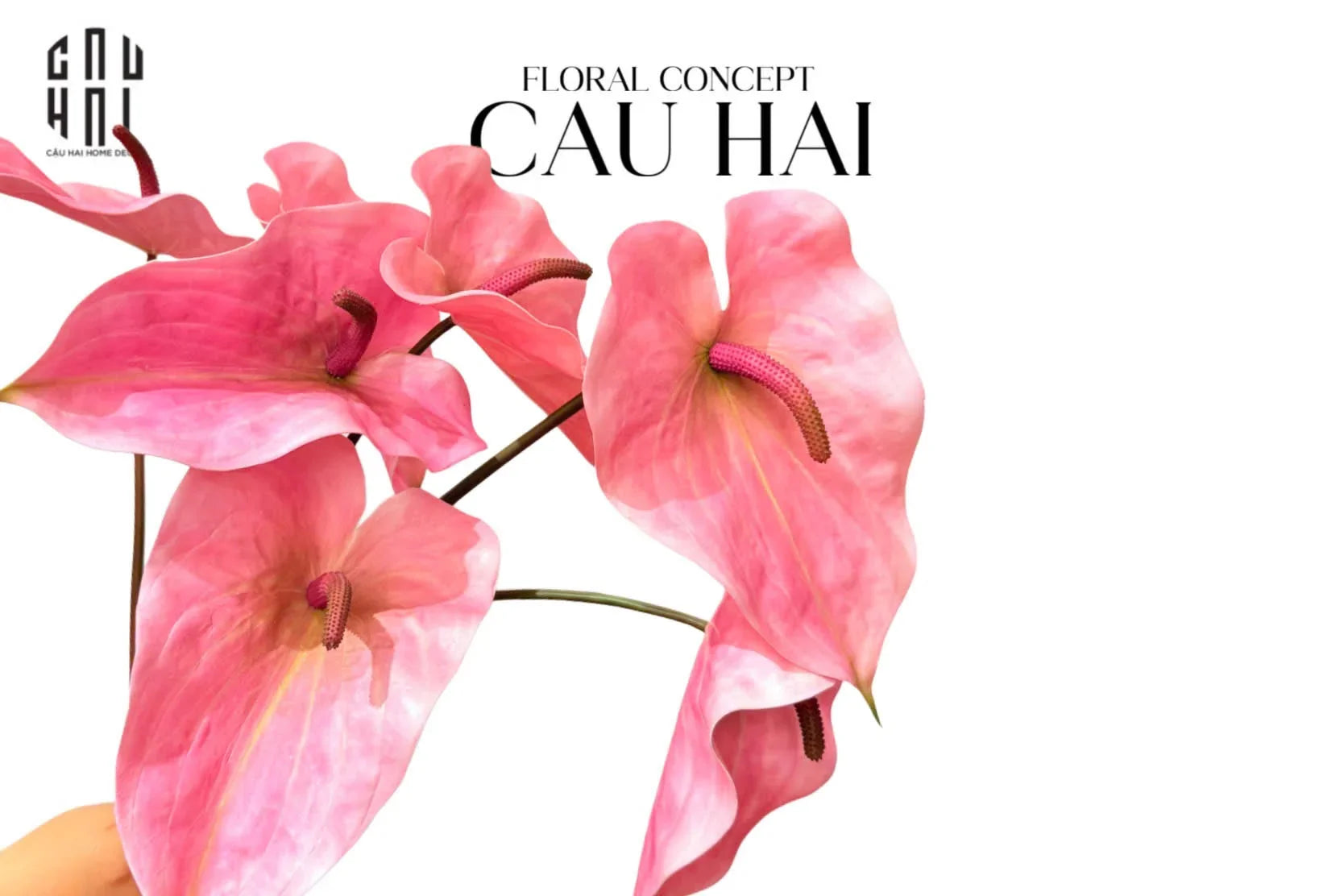 Cành Hoa Hồng Môn - Super Pink-Hoa Lụa-CẬU HAI HOME DECOR