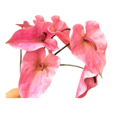 Cành Hoa Hồng Môn - Super Pink