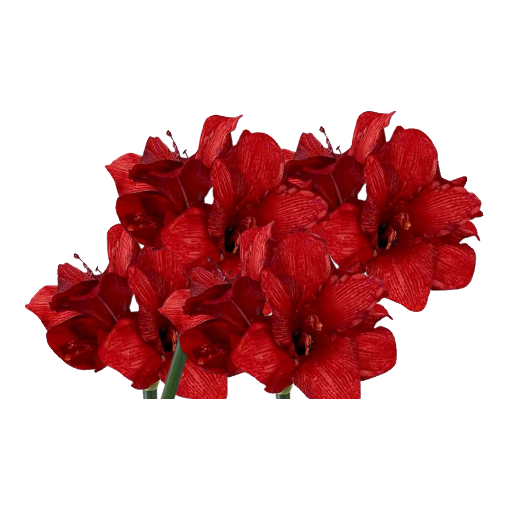 Cành Hoa Huệ Tứ Phương - Scarlet Rouge Matte-Hoa Lụa-Đối tác tại Trung Quốc theo từng đơn đặt hàng-CẬU HAI HOME DECOR
