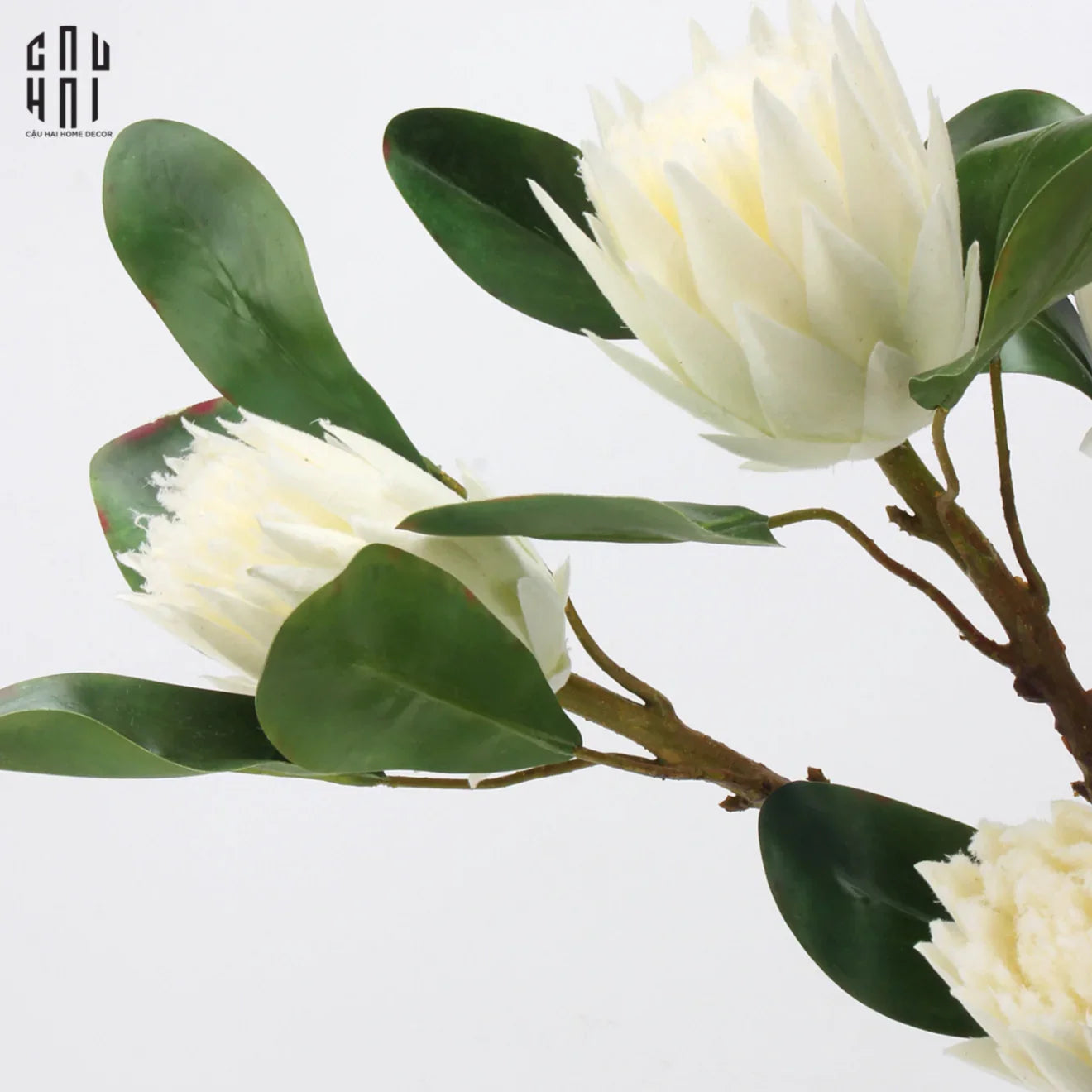 Cành Hoa Thảo Đường Hoàng Đế Protea King - White-Hoa Lụa-CẬU HAI HOME DECOR