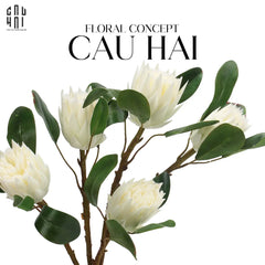 Cành Hoa Thảo Đường Hoàng Đế Protea King - White-Hoa Lụa-CẬU HAI HOME DECOR
