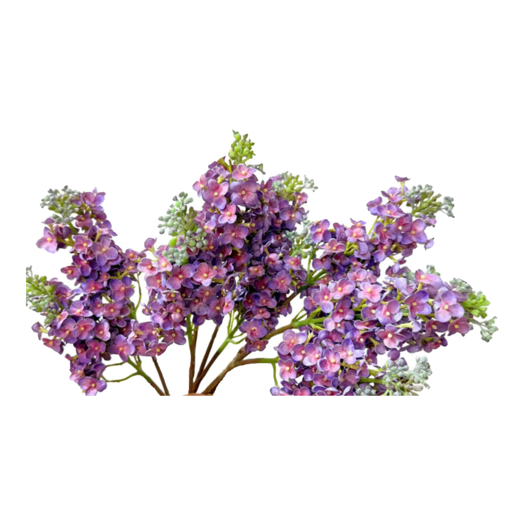 Cành Hoa Tử Đinh Hương Lilac