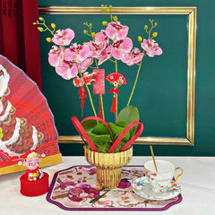 Chậu Hoa Lan Hồ Điệp - Phấn Sắc-BÌNH HOA-CẬU HAI HOME DECOR