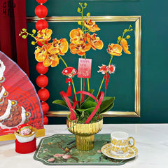 Chậu Hoa Lan Hồ Điệp - Quất Sắc-BÌNH HOA-CẬU HAI HOME DECOR
