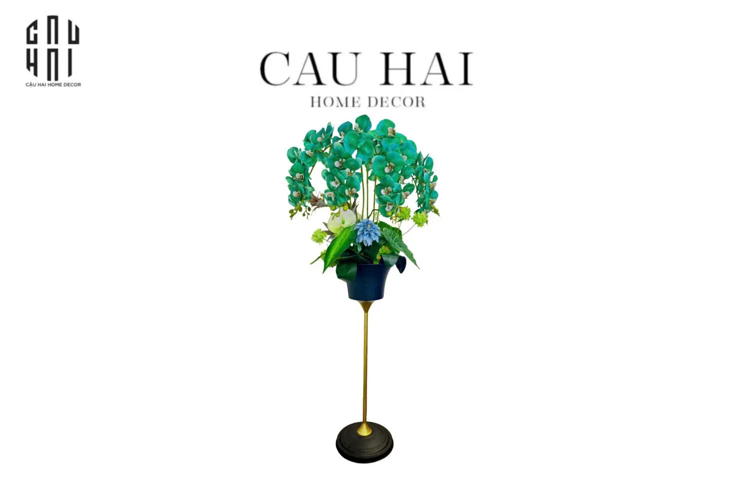 Chậu Hoa Lan Orchid - Emerald Azure Blooming-BÌNH HOA-CẬU HAI HOME DECOR