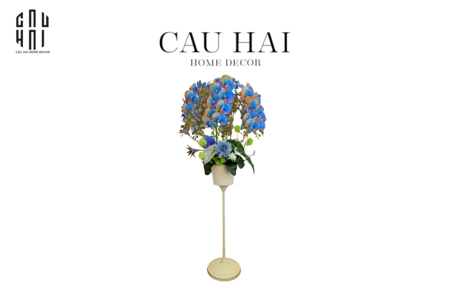 Chậu Hoa Lan Orchid - Sapphire Bloom-BÌNH HOA-CẬU HAI HOME DECOR