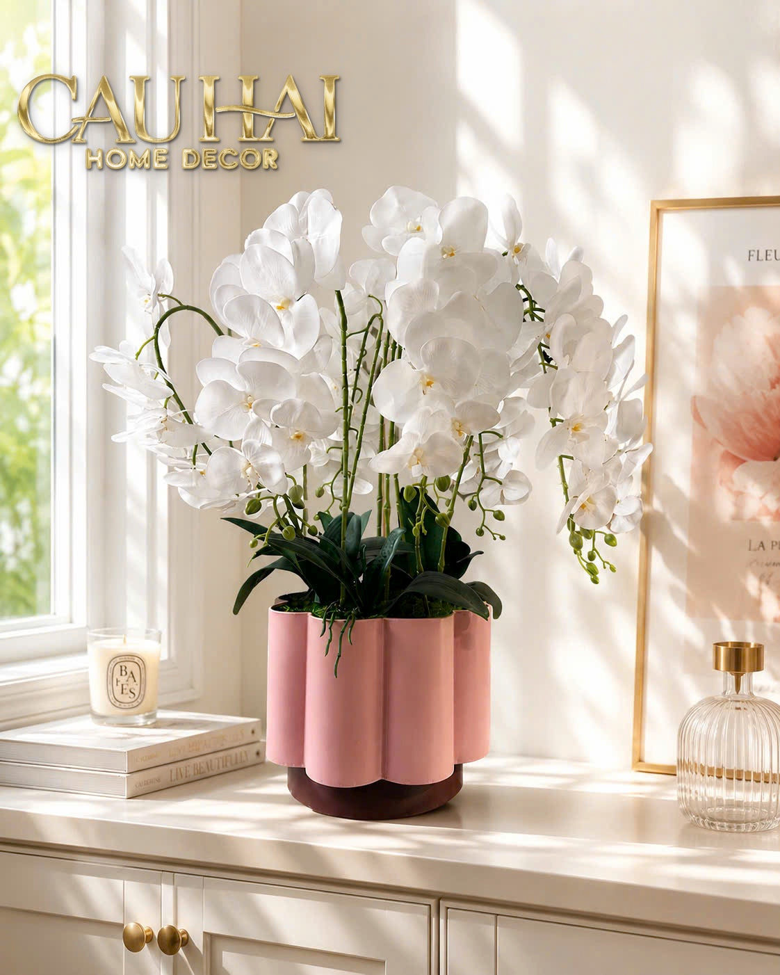Chậu Lan Hồ Điệp Blanc Impérial H70-BÌNH HOA-CẬU HAI HOME DECOR-CẬU HAI HOME DECOR