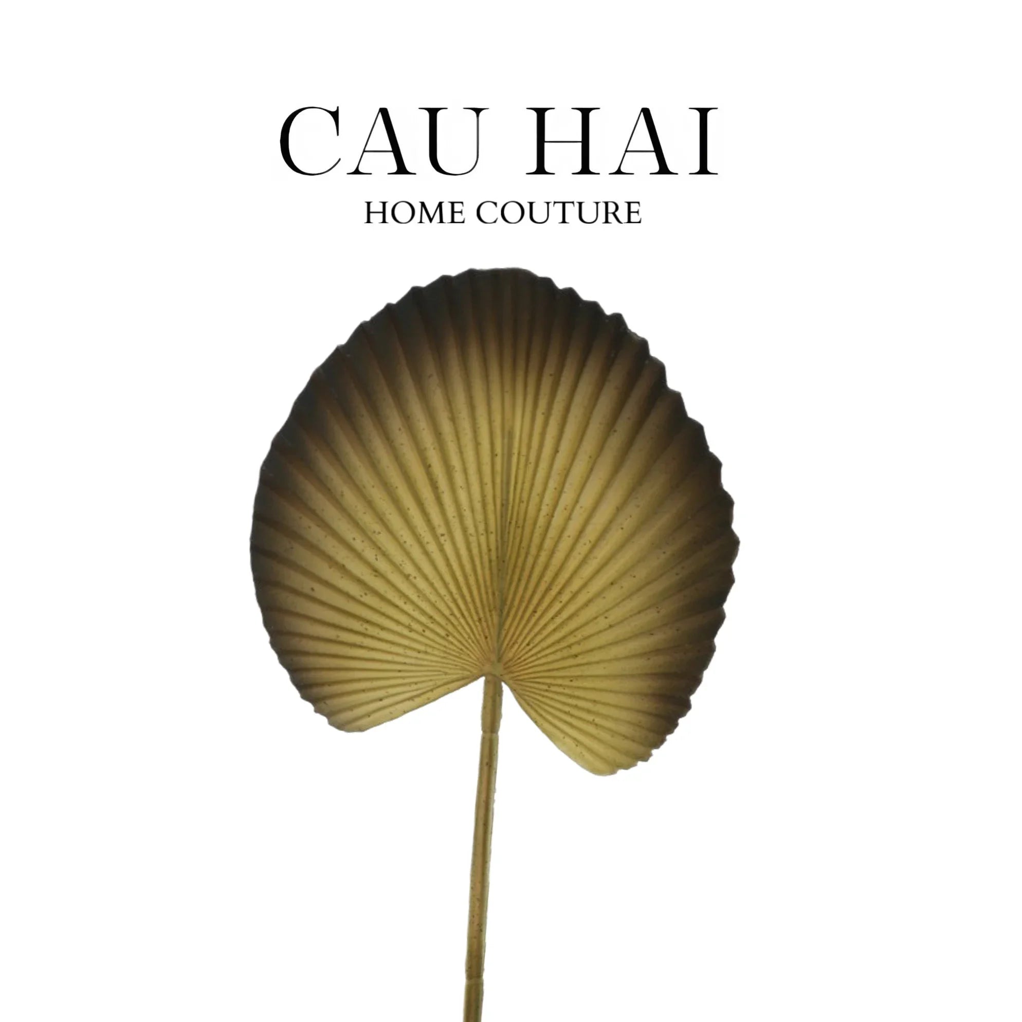Lá Cây Cọ Licuala Orbicularis-HOA LỤA-CẬU HAI HOME DECOR