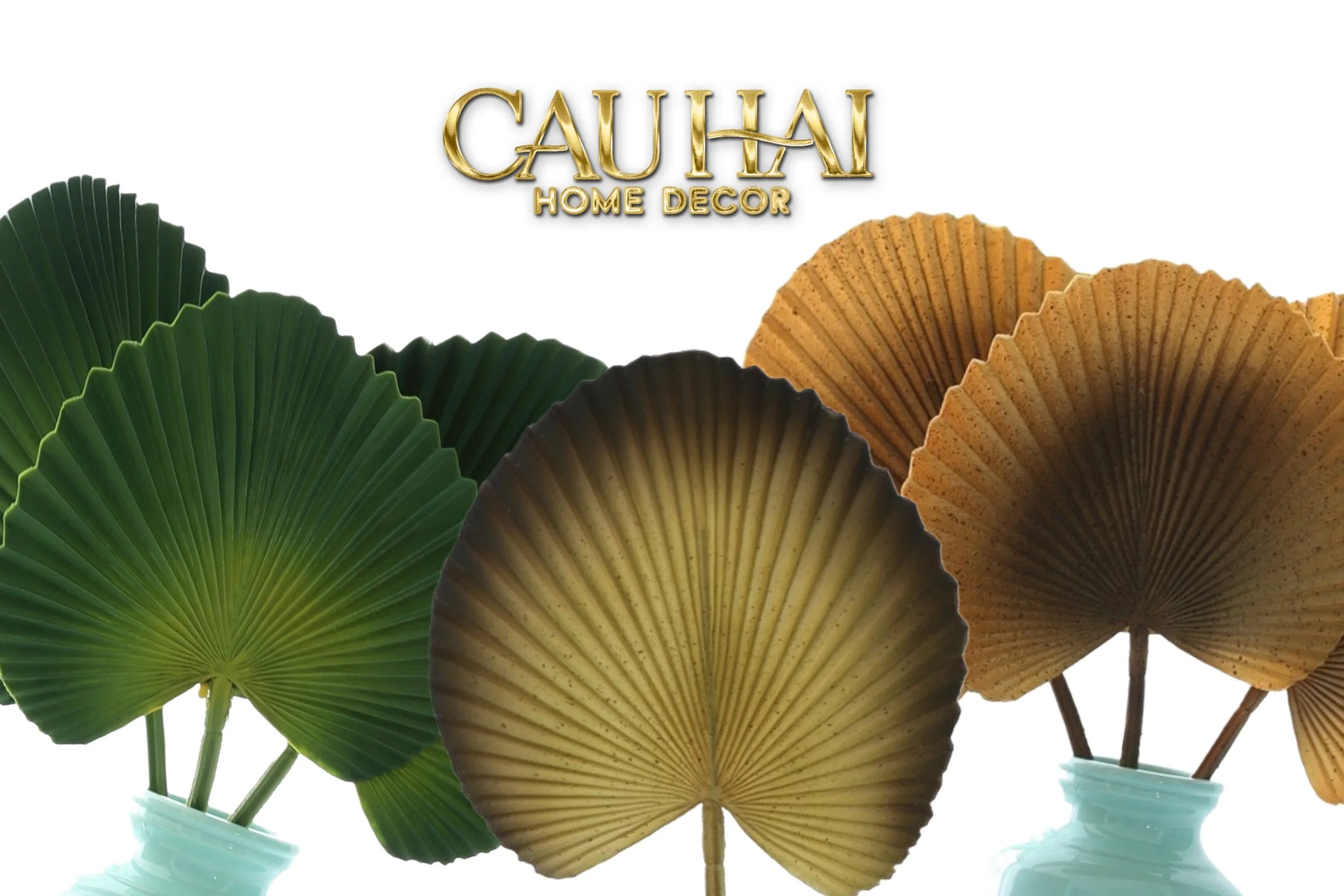 Lá Cây Cọ Licuala Orbicularis-HOA LỤA-CẬU HAI HOME DECOR