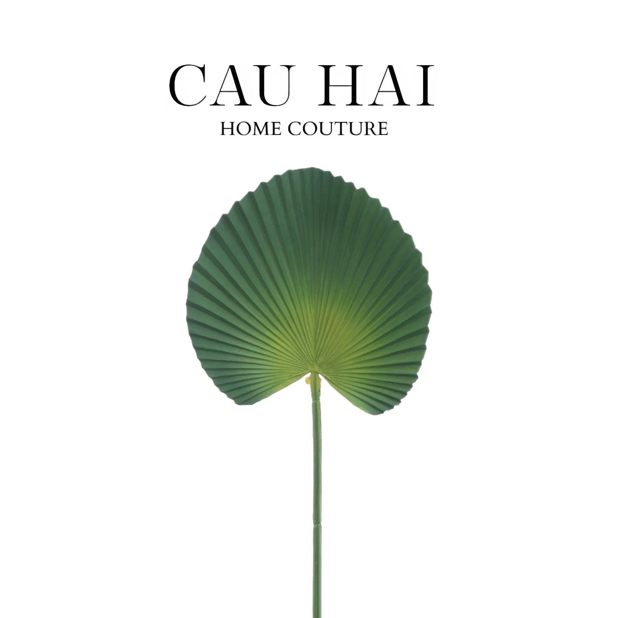 Lá Cây Cọ Licuala Orbicularis-HOA LỤA-CẬU HAI HOME DECOR