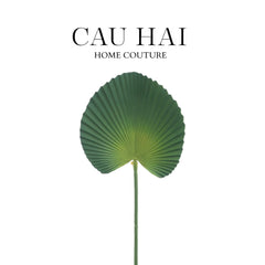 Lá Cây Cọ Licuala Orbicularis-HOA LỤA-CẬU HAI HOME DECOR