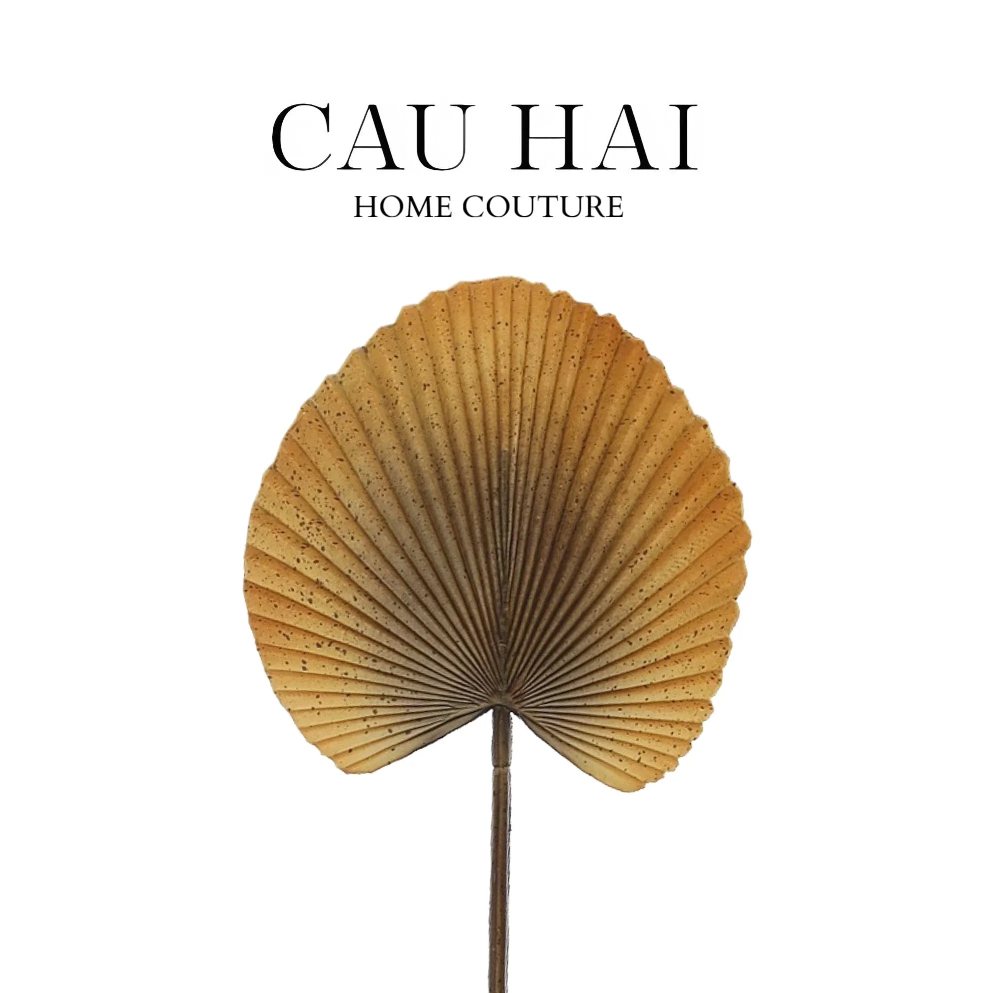 Lá Cây Cọ Licuala Orbicularis-HOA LỤA-CẬU HAI HOME DECOR