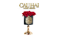 L’Essence Du Rose - Chậu Hoa Hồng D12-BÌNH HOA-CẬU HAI HOME DECOR