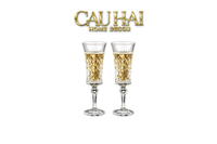 Set 2 Ly Champagne Cristalleries Faceted 120ml