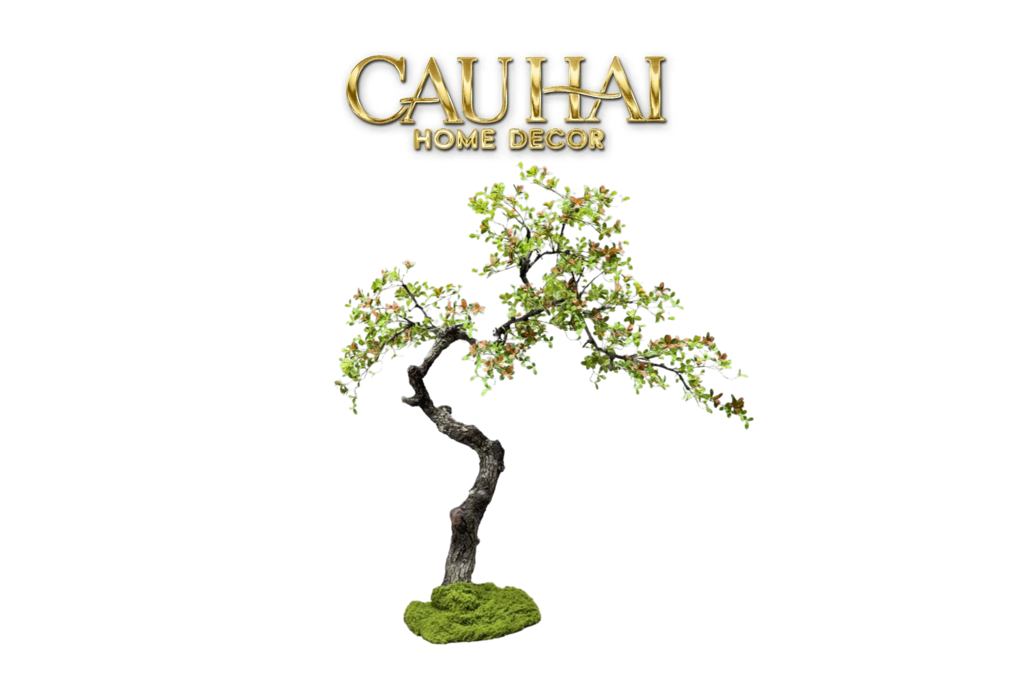 Maison Couture - Cây Bonsai Xuân Hoa Hải Đảo - Zen Sculpture H180 - Dáng Cây Đặt Theo Yêu Cầu-CẬU HAI HOME DECOR