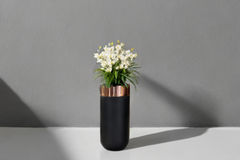 Maison Couture - Chậu Hoa Địa Lan Cymbidium Rosé Noir H170-BÌNH HOA-CẬU HAI HOME DECOR