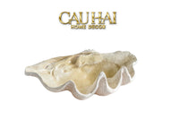 Maison Couture - Khay Vỏ Sò Mirage Pearl Seashell Tray D33-KHAY TRANG TRÍ-CẬU HAI HOME DECOR