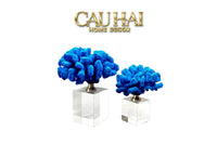Maison Couture - Set 2 Tượng San Hô Đế Pha Lê Azure Tidal Aether Coral-TƯỢNG TRANG TRÍ-CẬU HAI HOME DECOR