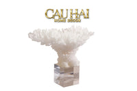 Maison Couture - Tượng San Hô Blanc De Mer Coral D'Ivoire-TƯỢNG TRANG TRÍ-CẬU HAI HOME DECOR
