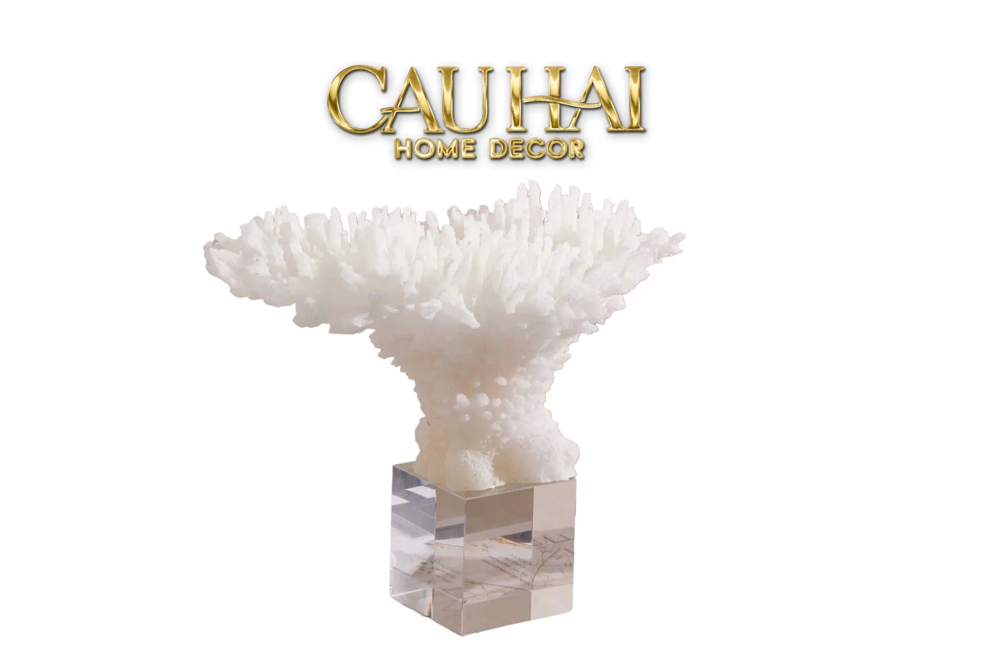 Maison Couture - Tượng San Hô Blanc De Mer Coral D'Ivoire-TƯỢNG TRANG TRÍ-CẬU HAI HOME DECOR