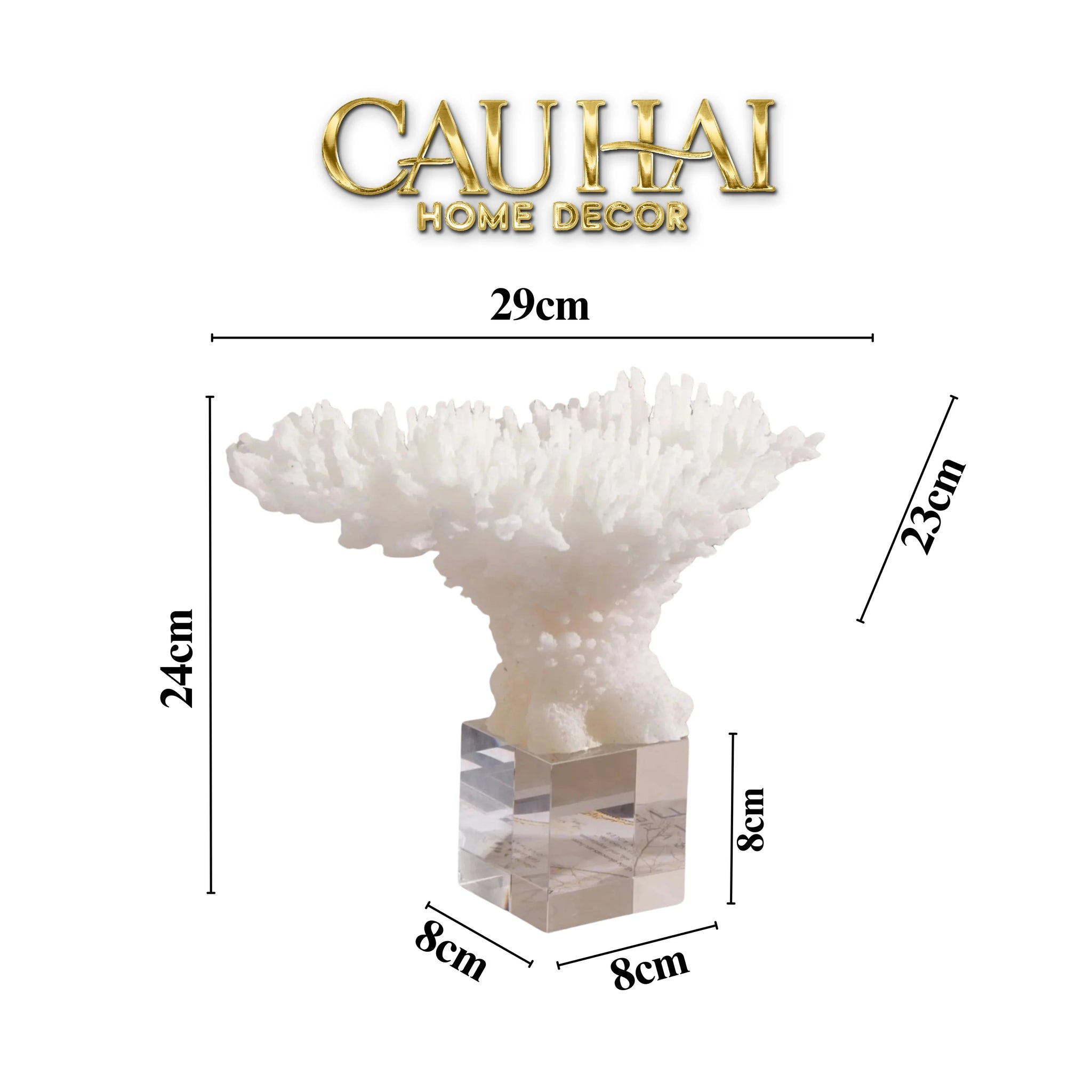 Maison Couture - Tượng San Hô Blanc De Mer Coral D'Ivoire-CẬU HAI HOME DECOR