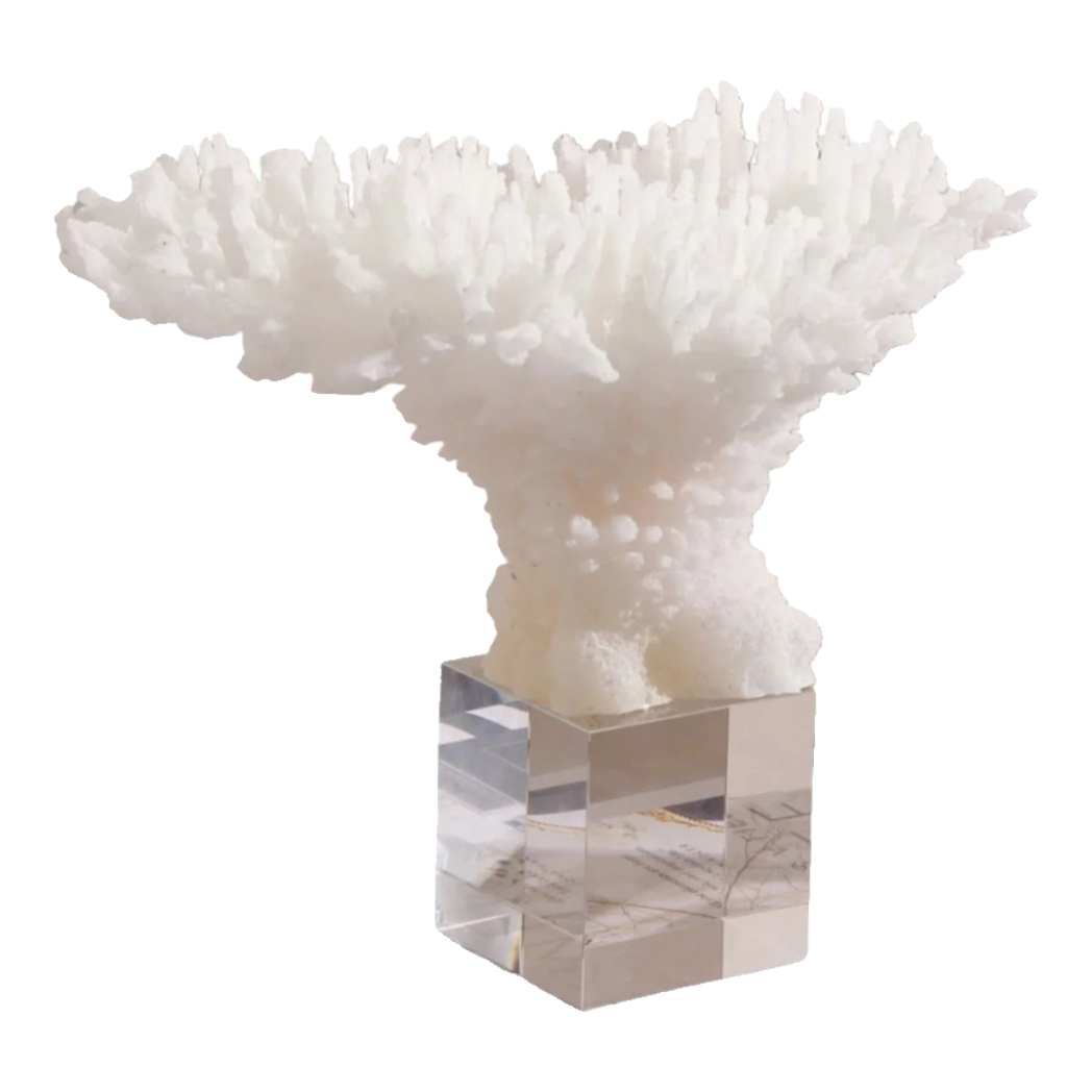 Maison Couture - Tượng San Hô Blanc De Mer Coral D'Ivoire