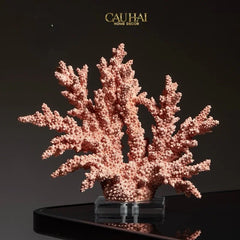 Maison Couture - Tượng San Hô Vương Miện Couronne Ashen Terra Cristalleries Coral Sculptures 34x12x30-TƯỢNG TRANG TRÍ-CẬU HAI HOME DECOR