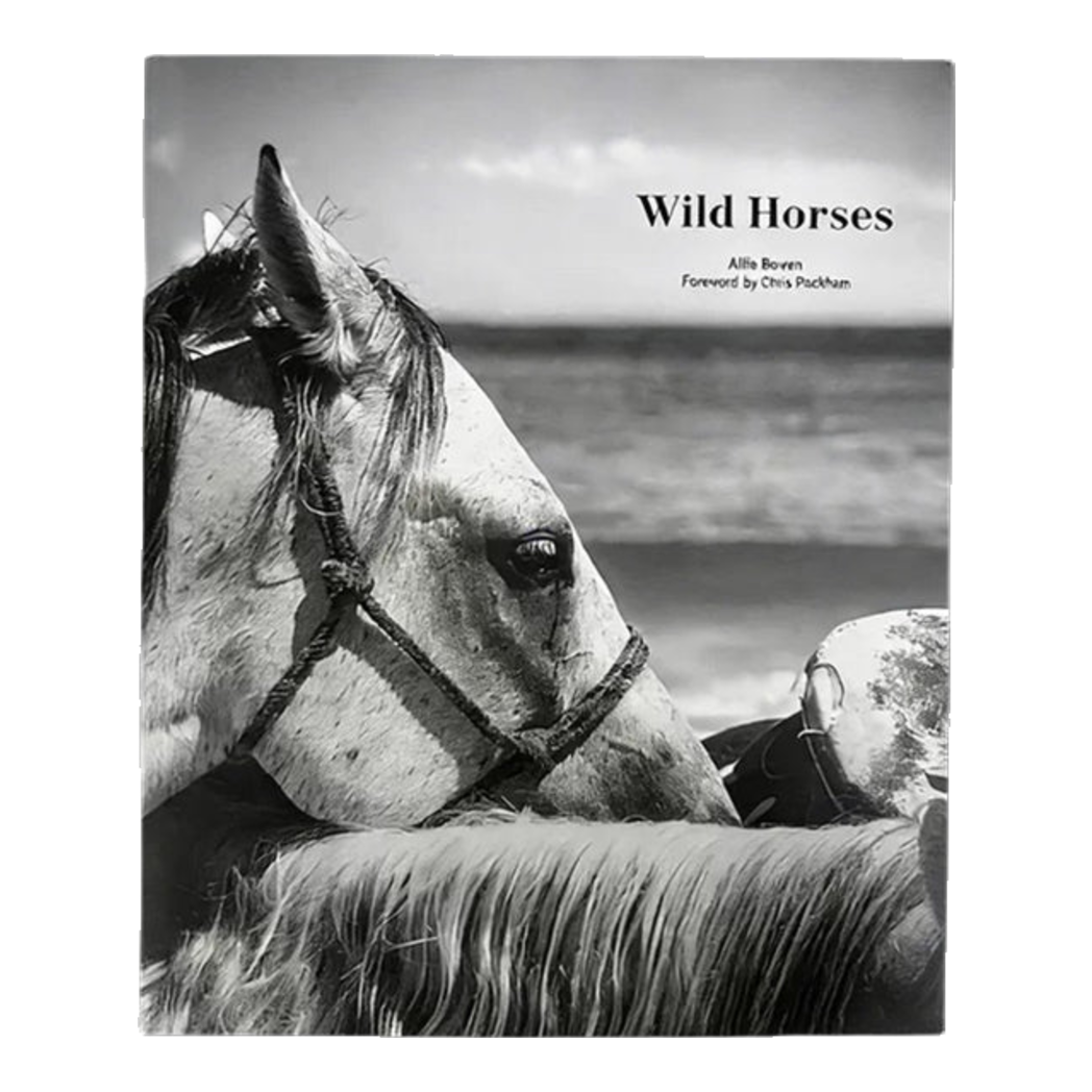 Sách Fashion Runway Wild Horses 29.5x25.2.8