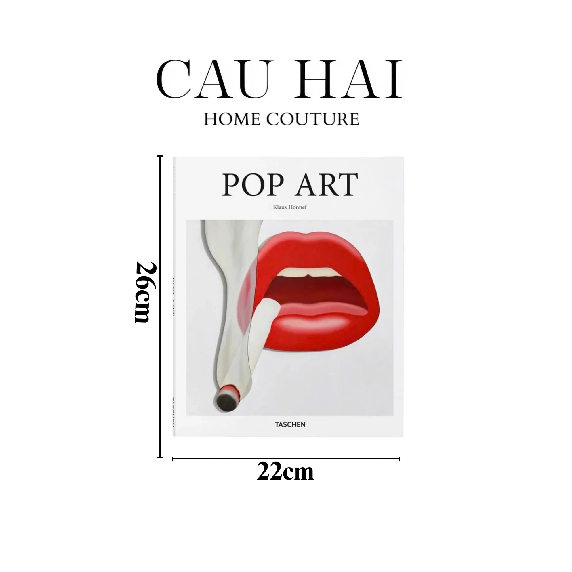 Sách Pop Art-SÁCH TRANG TRÍ-CẬU HAI HOME DECOR