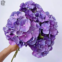 Set 2 Cành Cẩm Tú Cầu Đại Hydrangea Marcophylla - Tím-Hoa Lụa-CẬU HAI HOME DECOR