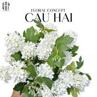 Set 2 Cành Cẩm Tú Cầu Mini - Trắng-CẬU HAI HOME DECOR