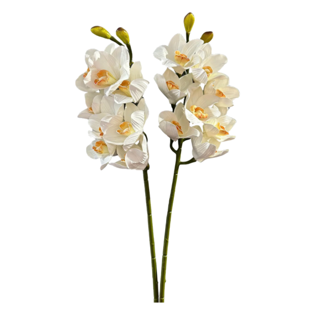 Set 2 Cành Địa Lan Cymbidium-Cành hoa trang trí-CẬU HAI HOME DECOR-CẬU HAI HOME DECOR