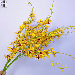 Set 2 Cành Địa Lan Cymbidium Mini - Vàng-CẬU HAI HOME DECOR