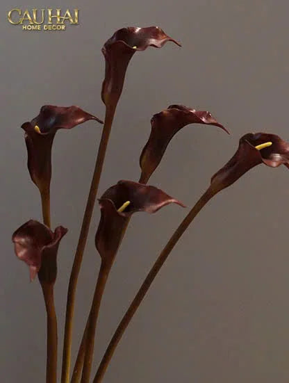 Set 2 Cành Eva Calla Lily Moonstone Blue / Plum Rouge 65Cm-LY THỦY TINH-CẬU HAI HOME DECOR