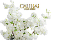 Set 2 Cành Hoa Anh Đào Trắng - White Sakura-Hoa Lụa-CẬU HAI HOME DECOR
