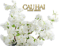 Set 2 Cành Hoa Anh Đào Trắng - White Sakura-Hoa Lụa-CẬU HAI HOME DECOR