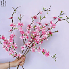 Set 2 Cành Hoa Đào - Hồng-Hoa Lụa-CẬU HAI HOME DECOR