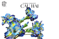 Set 2 Cành Hoa Diên Vĩ - Blue Ara-Hoa Lụa-CẬU HAI HOME DECOR